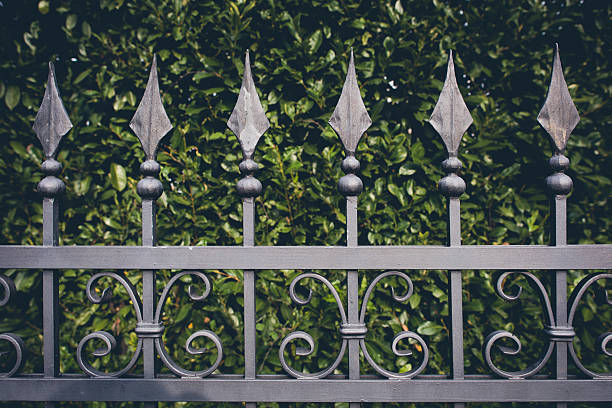 Charm of Classic Fencing in Florida